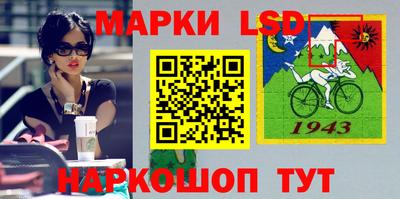 стафф Камышлов