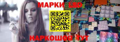 стафф Камышлов