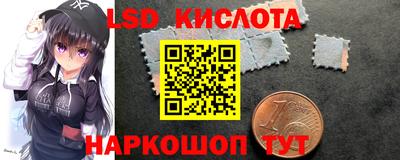 apvp Канаш