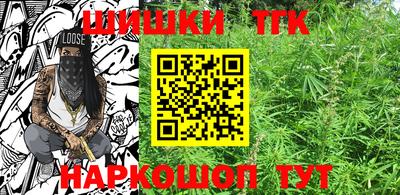 стафф Камышлов