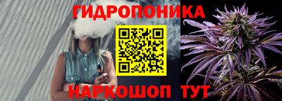 apvp Канаш