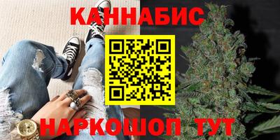 apvp Канаш