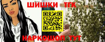 стафф Камышлов