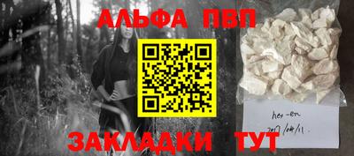 стафф Камышлов
