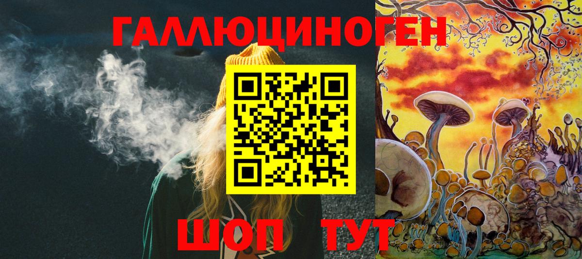 Псилоцибиновые грибы мицелий Ленинск-Кузнецкий