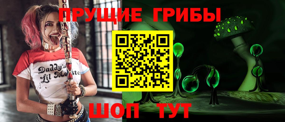 Ленинск-Кузнецкий  Галлюциногенные грибы MAGIC MUSHROOMS  Вход с VPN  Галлюциногенные грибы мухоморы 